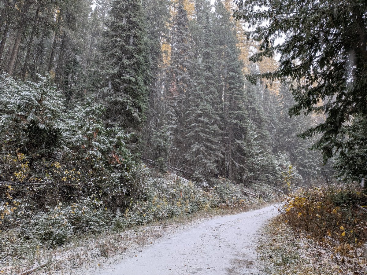 What the hell is going on