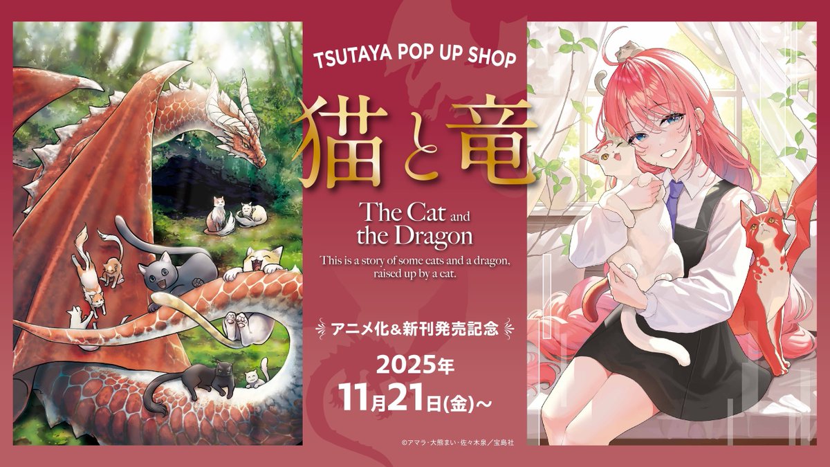 開催決定】11/21（金）より『猫と竜』コミックス12巻発売とアニメ化を