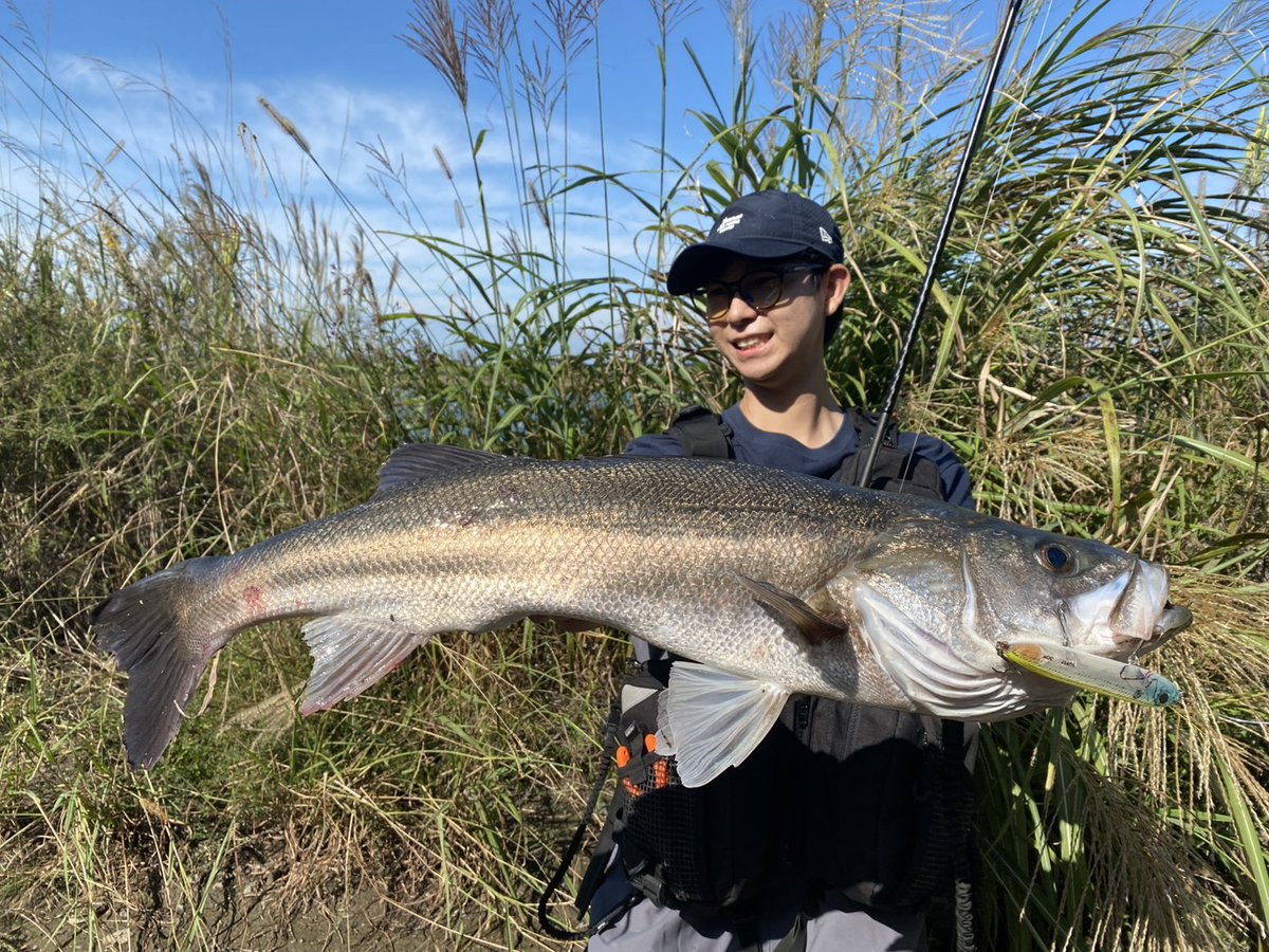 z*u様 VARIVAS ベスト 楽天市場】バリバス（フィッシングベスト