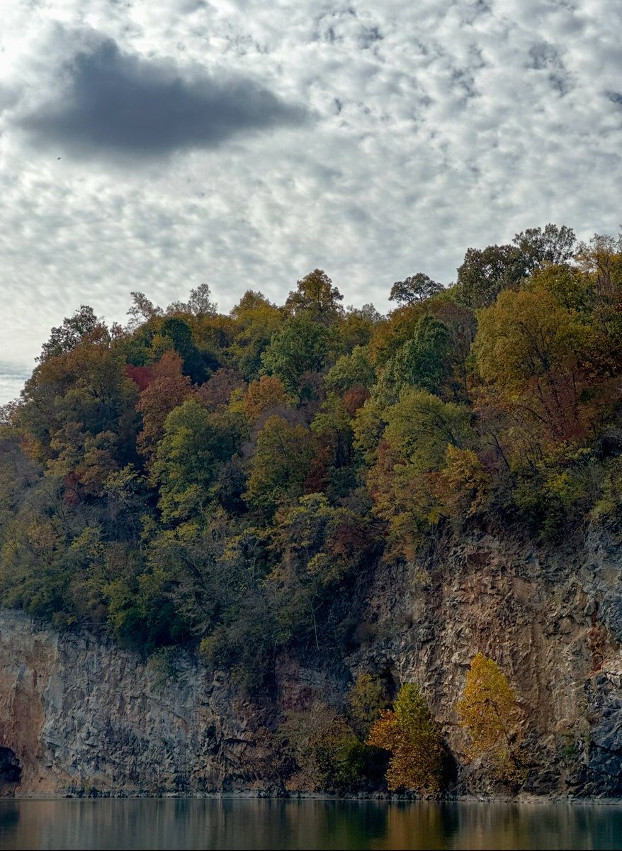 joannpip's tweet image. 𝑔ℴℴ𝒹 𝓃𝒾𝑔𝒽𝓉 & 𝓈𝓌ℯℯ𝓉 𝒹𝓇ℯ𝒶𝓂𝓈💫
#twoyearsago #NaturePhotography #MeadsQuarry 🍂 #PhotographyIsArt