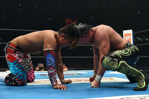 ♥️♥️♥️♥️♥️♥️♥️♥️♥️