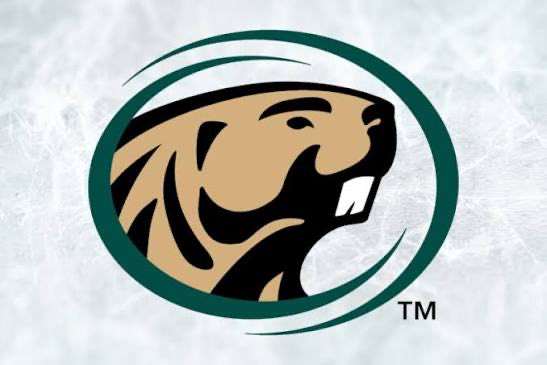 VigChuck119's tweet image. I’m proud and honored to announce my commitment to play Division 1 hockey and continue my education at Bemidji State University! I’m extremely grateful for my family, friends, teammates, and coaches who have supported and helped me develop along the way. Excited for what’s ahead!