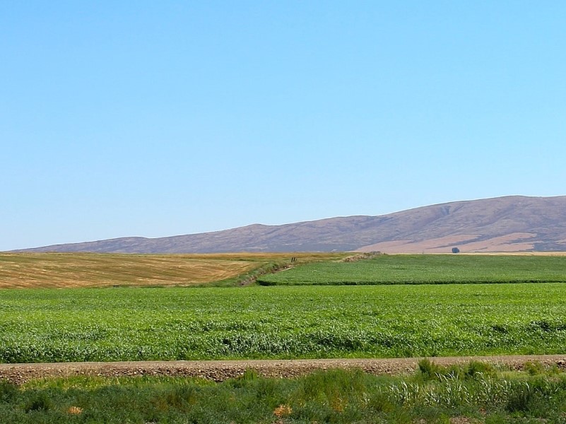 Check out the latest news in conservation drainage - mailchi.mp/6dfff1457c8a/c…