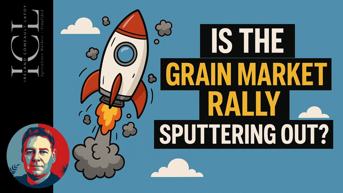 Were traders paring back some risk after big gains today?  Is there legs for the market to go higher after the talks conclude? We think so. #grainmarketing #farming 
 
lnkd.in/eM5mR-qD
