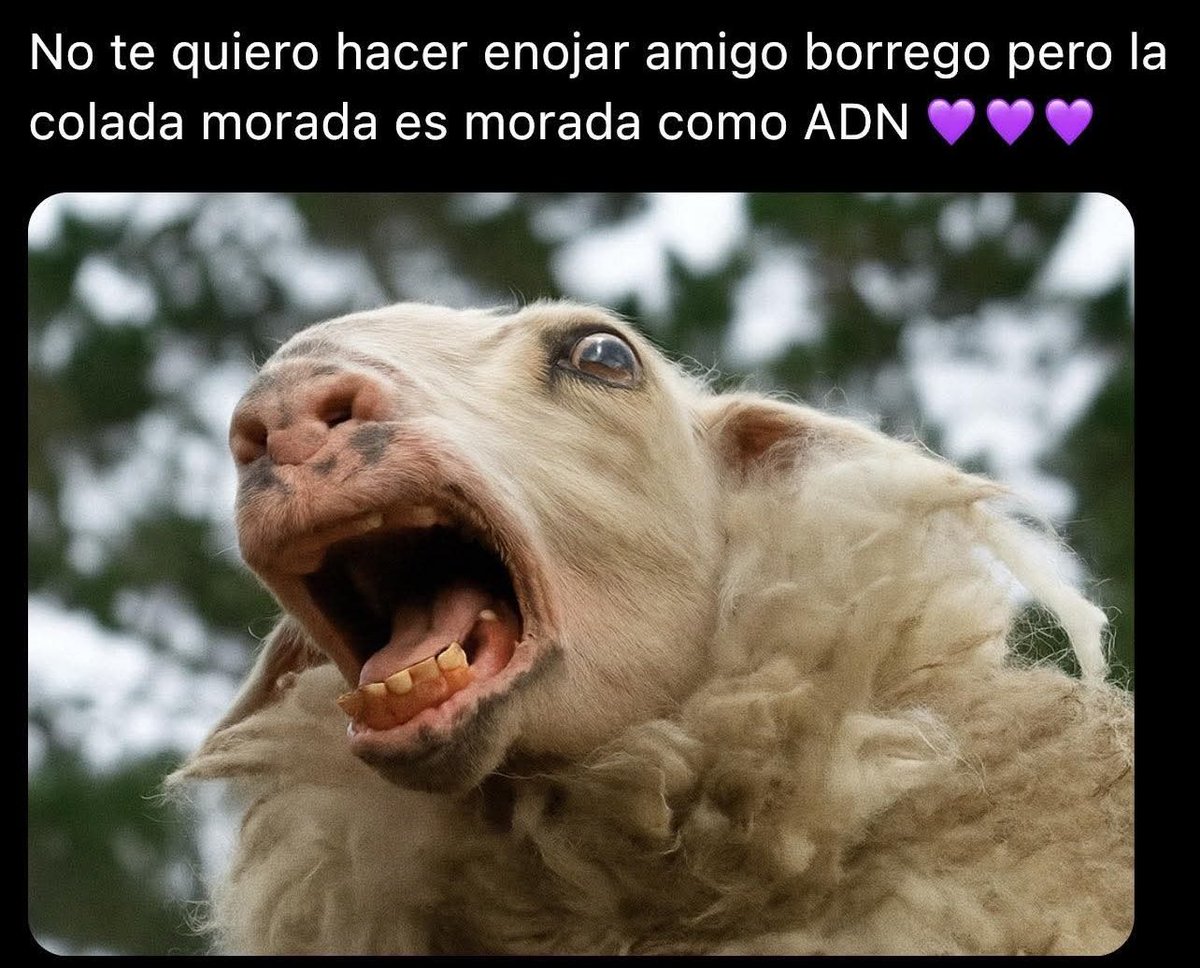 Ya sabes borrego, si tomas colada morada estos finados: