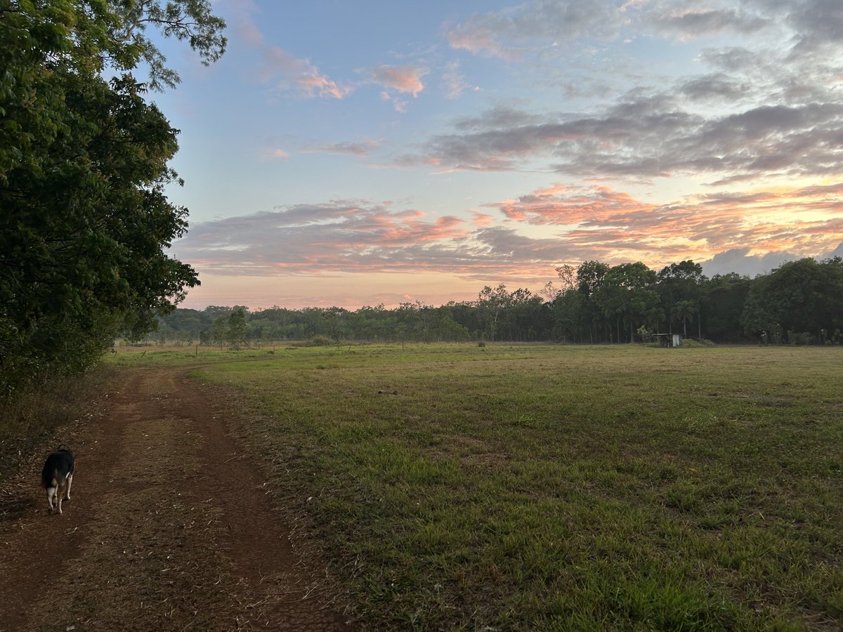 MinhKular's tweet image. Cape York sunrise #qldpol #fnq
