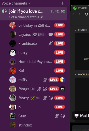 miffy❀ tweet media