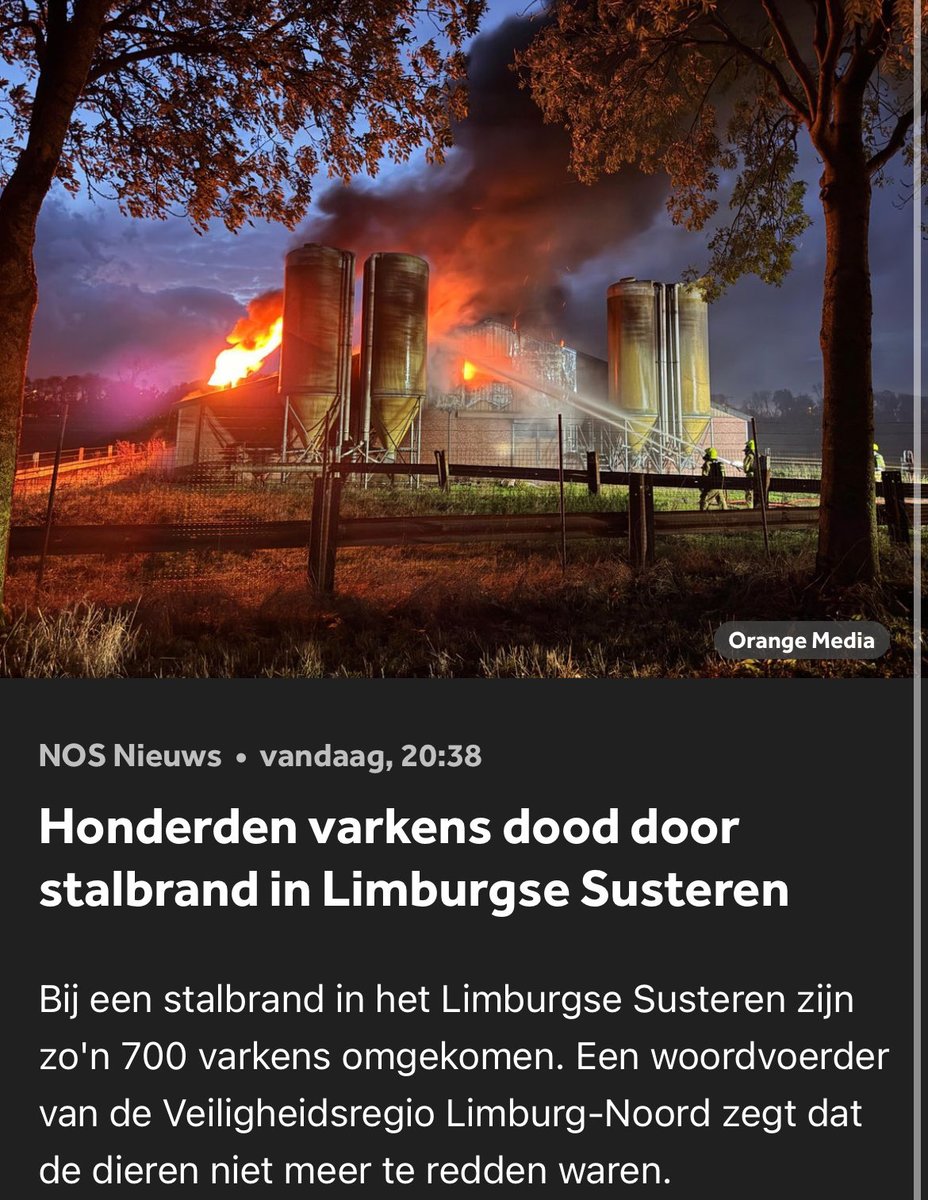Stem vooral BBB morgen, die het acceptabel vinden dat er elk jaar duizenden dieren levend verbranden. Op de vooravond van de verkiezingen ook weer 700. #bbb #verkiezingen2025 #verkiezingsdebat