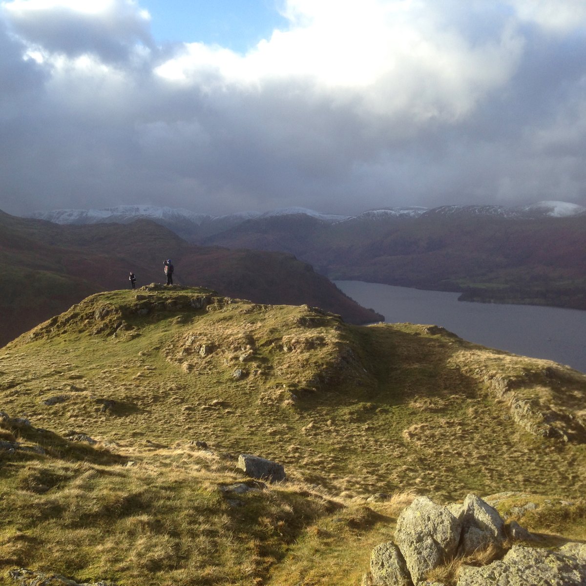 Foundation for Common Land tweet media