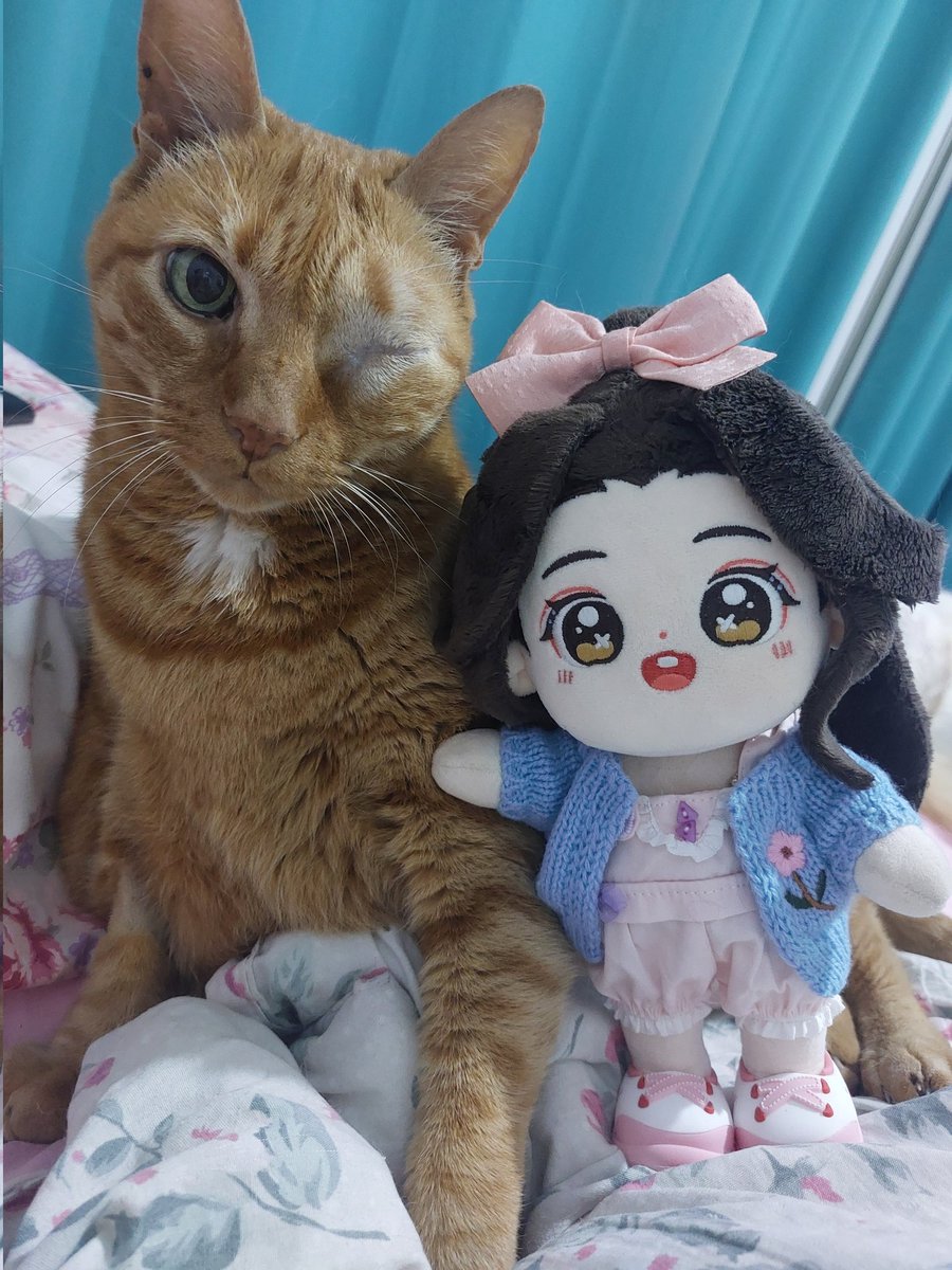 Hi cousins, we haven't been around as often because Mom is very sad. At our cat Dino's last checkup, we discovered that the cancer had returned. Unfortunately, due to Dino's age (15) and the location of the cancer, surgery is no longer an option. Can you pray for him? 🙏🏻😢