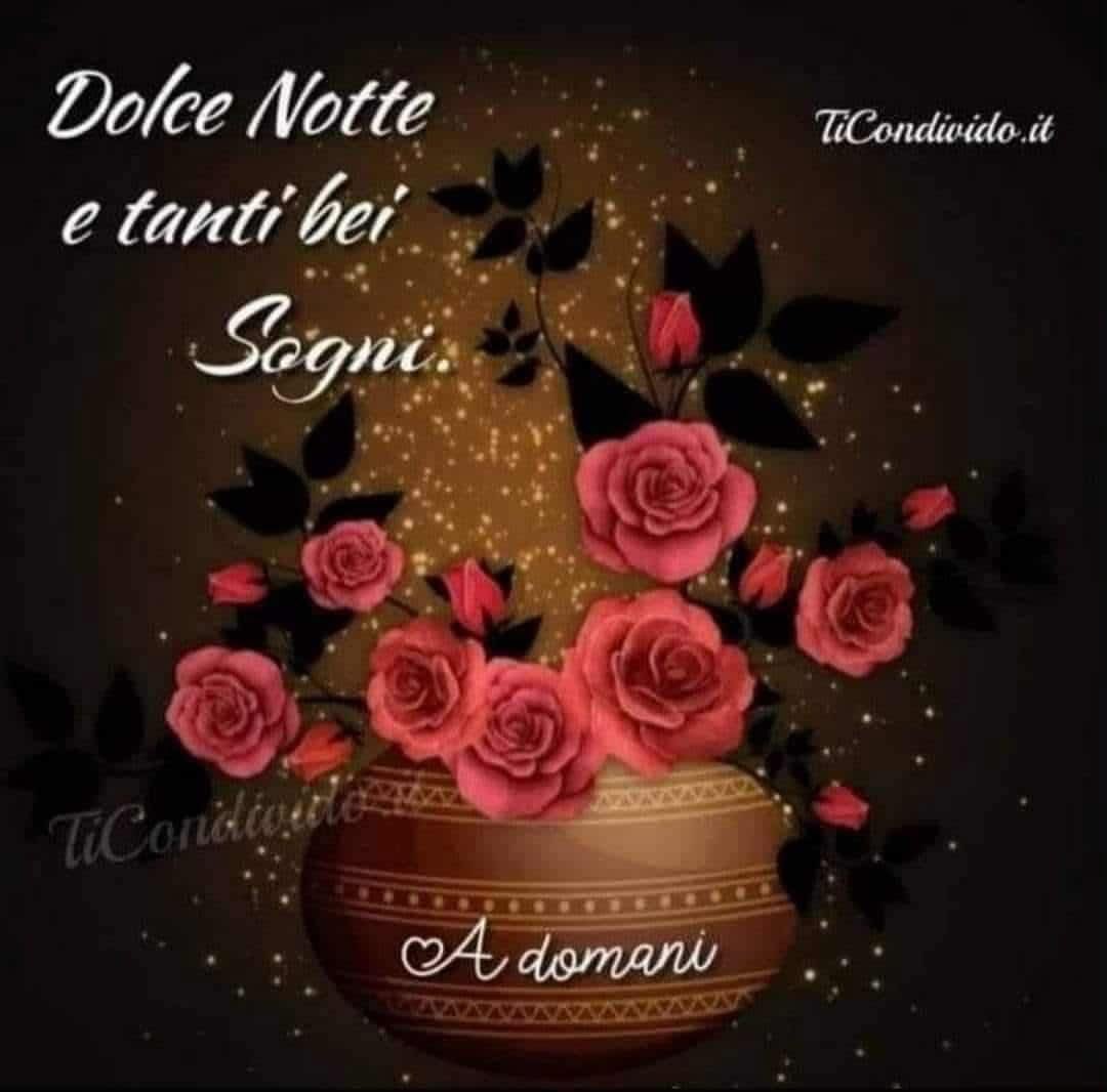 RITABIANCHi56 tweet media