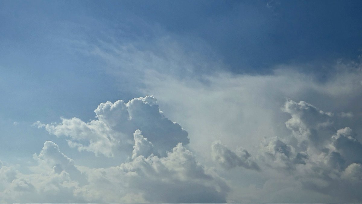 Mohamed (@mohamed_s_a_n) on Twitter photo 