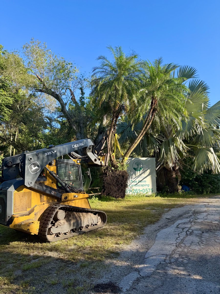 EvergladesEquip's tweet image. Power meets precision.

George Boyer Enterprises turns every job site into a masterpiece with their 335P.

evergladesfarmequipment.com/specials/detai…

#DeereDoneRight #BuiltForWork #CustomerSpotlight #EvergladesEquipmentGroup #JohnDeere