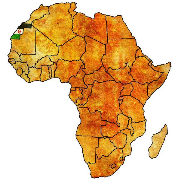 WesternSaharaOccidental tweet media