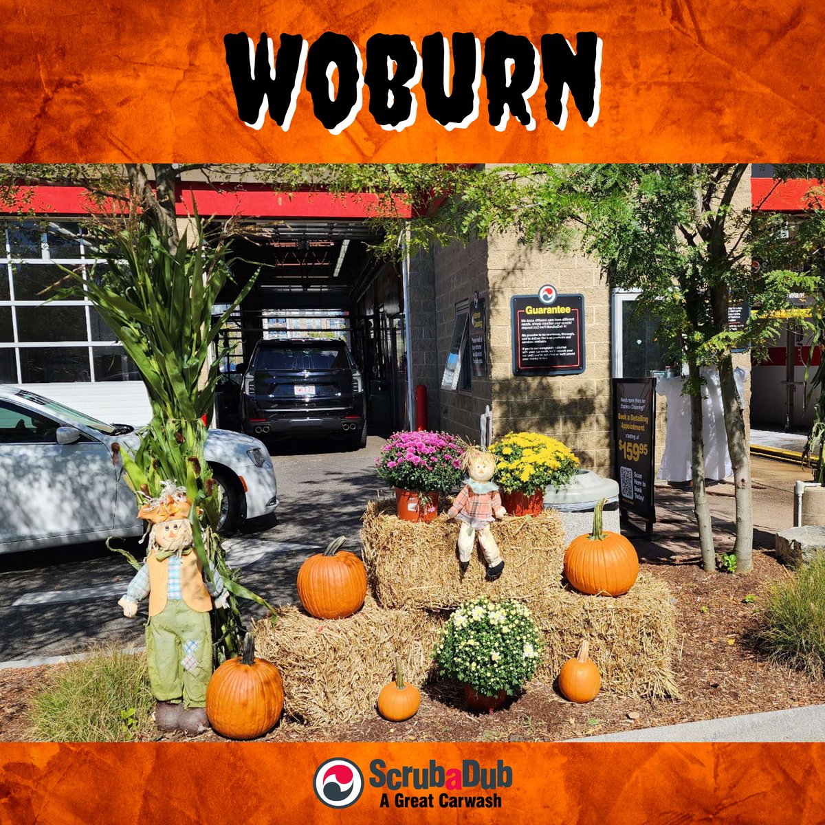 ScrubaDubCarWsh's tweet image. 🎃 Halloween is creeping up… and our Woburn and Marlborough locations are all decked out for the season! From pumpkins and cobwebs to skeletons and scarecrows, our sites are looking spooky and festive. 🍂🚗
#ScrubaDub #CleanCar #HalloweenReady #CarWash