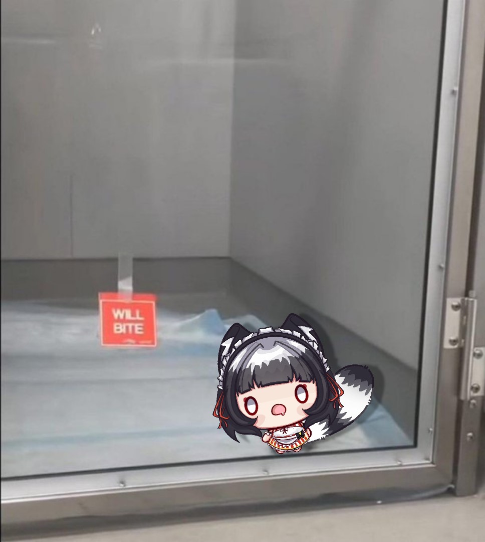 Moshi 🦝 tweet media