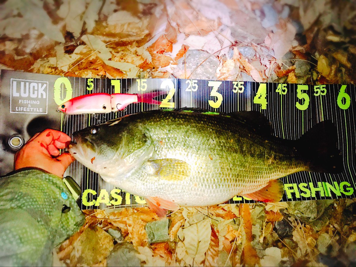 ブラック やまちゃん様 1981 Datsun 280ZX Coupe For Sale At Auction - Mecum Auctions