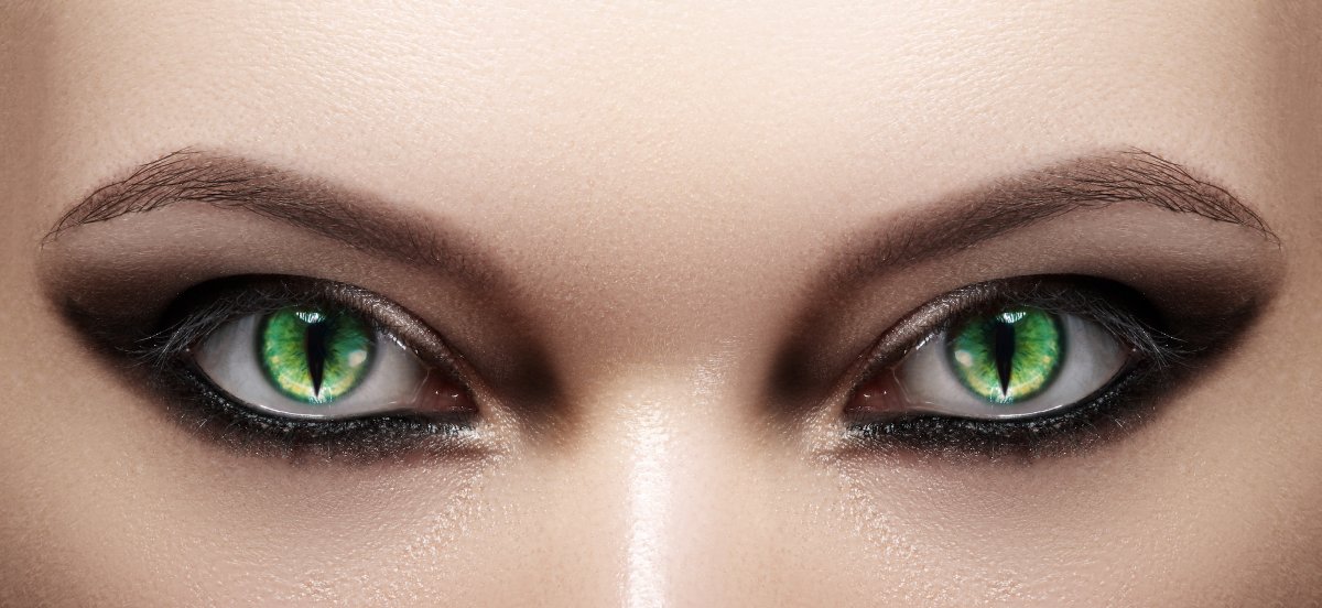 Texas Society of Eye Physicians and Surgeons tweet media