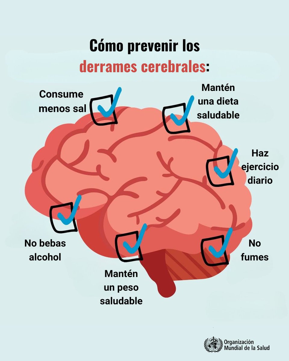 🧠 El 85 % de las muertes por enfermedades cardiovasculares se debe  a infartos o derrames cerebrales.

Lo importante: la mayoría se puede prevenir.
🚭 Evita el tabaco
🥗 Come saludable
🏃‍♀️ Muévete más
💓 Controla tu presión y colesterol

Tu corazón te lo agradecerá. ❤️
vía <a href="/WHO/">World Health Organization (WHO)</a>