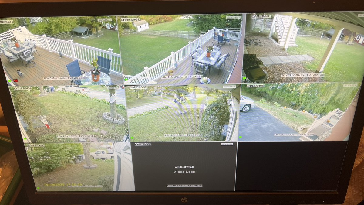 dellitech's tweet image. 