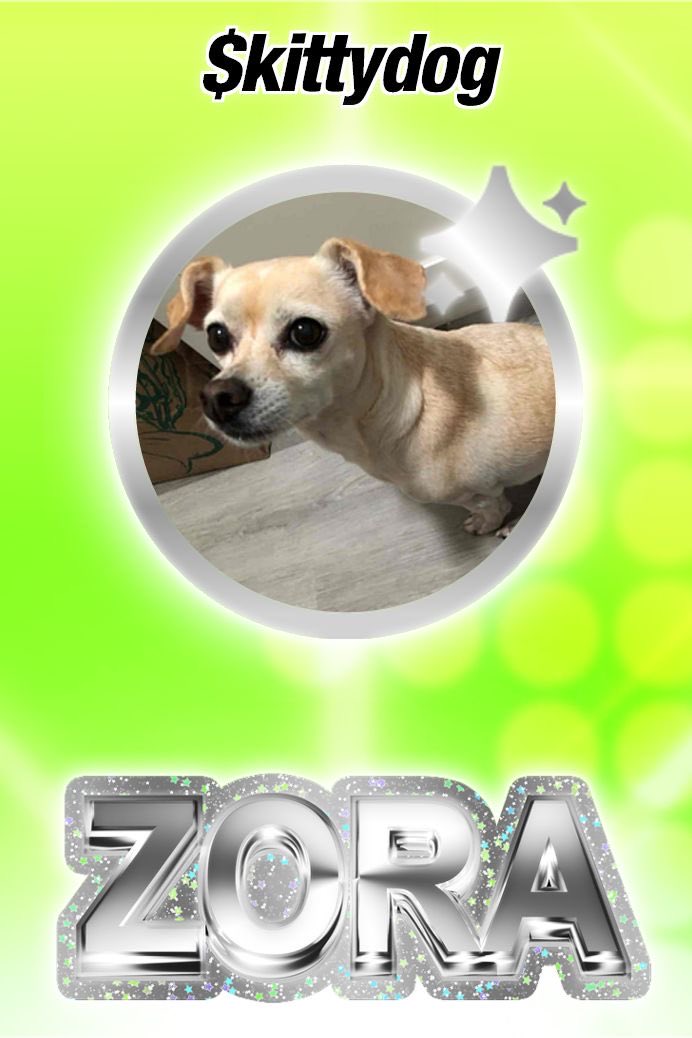 elle ✨ tweet media