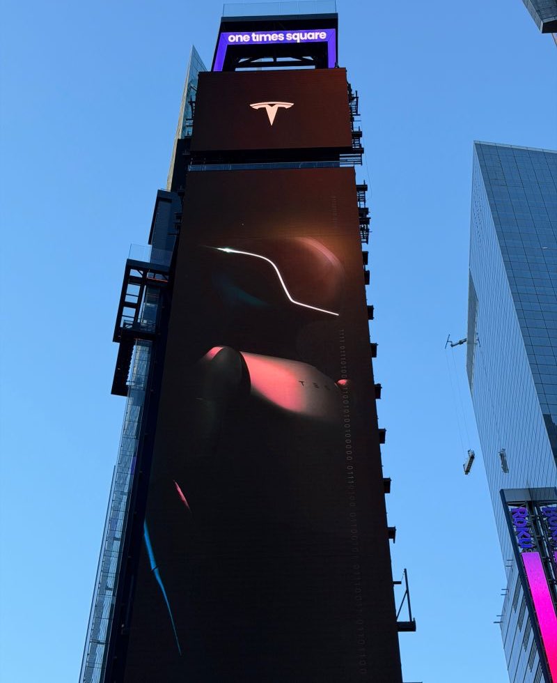 Nic Cruz Patane tweet media