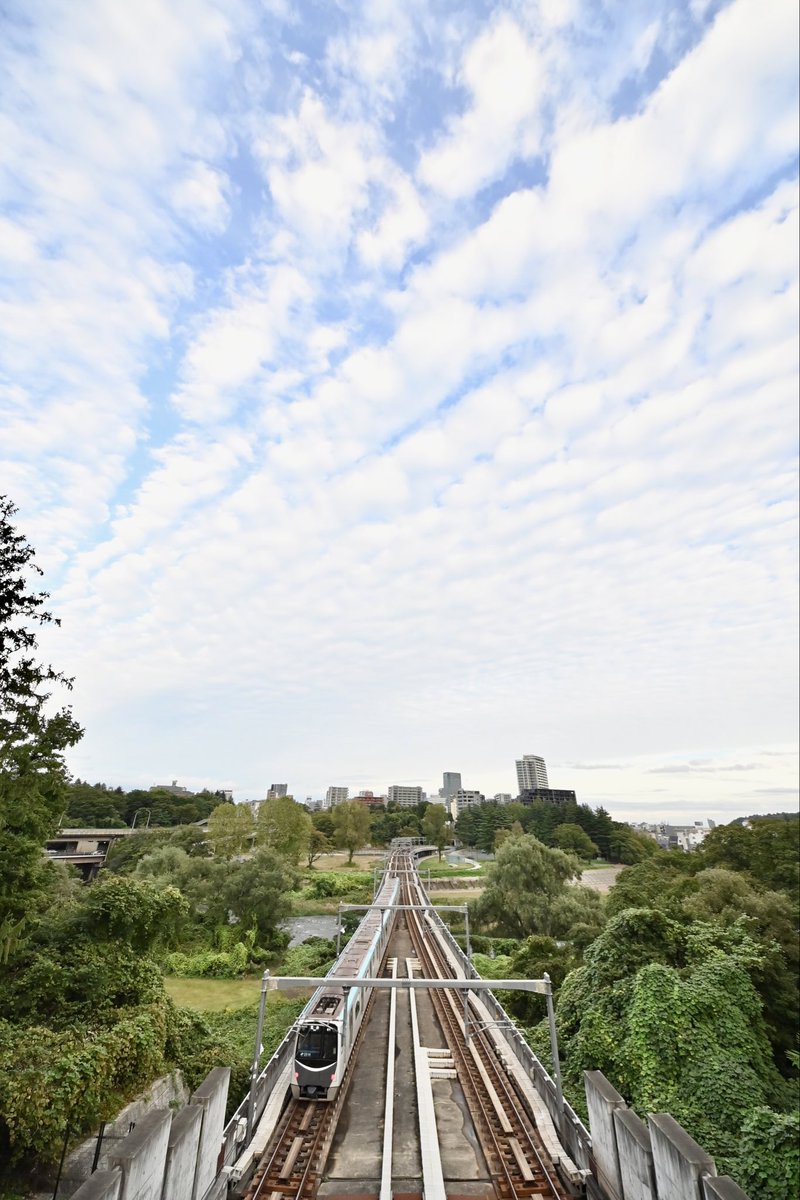 幸（さち）👒 on X