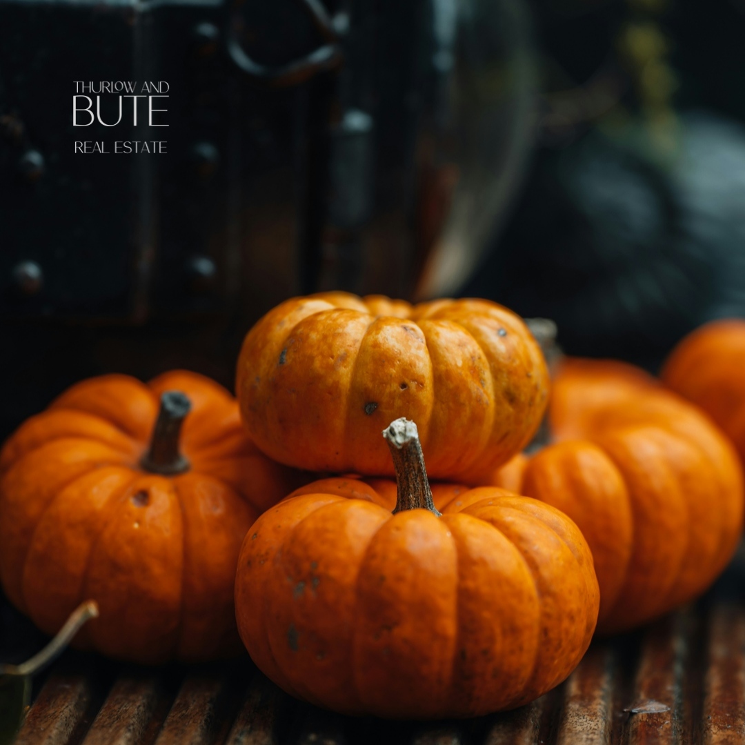 ThurlowandBute's tweet image. Be honest.....
How many pumpkins are on your front porch?

Leave a comment

#pumpkins #frontporchdecor #halloween #halloweendecor