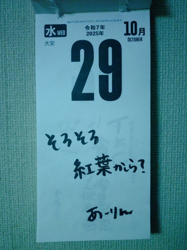 mmmページ♡⃜ グッチchan🩷❤️💛💜 on X