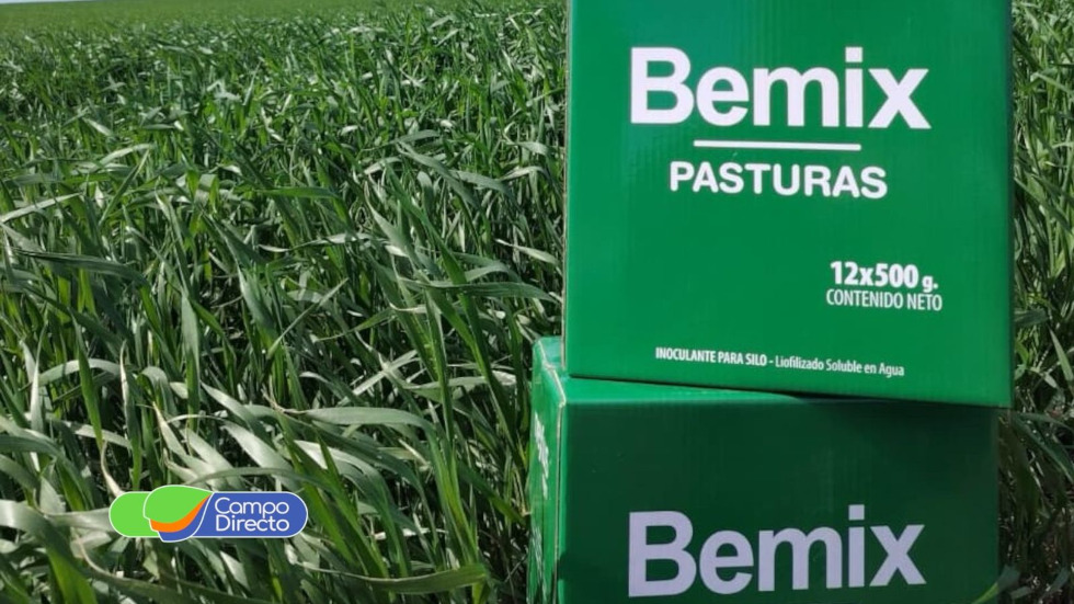 CampoDirecto's tweet image. Nexus Agro participó en la Expo Ganadera del Centro, presentando sus nuevos desarrollos para la campaña de pasturas.

Estos espacios, como el Congreso Argentino de #Forrajes, fortalecen los lazos entre empresas, productores e instituciones. 🌱🤝

campodirecto.com.ar/bemix-mostro-s…