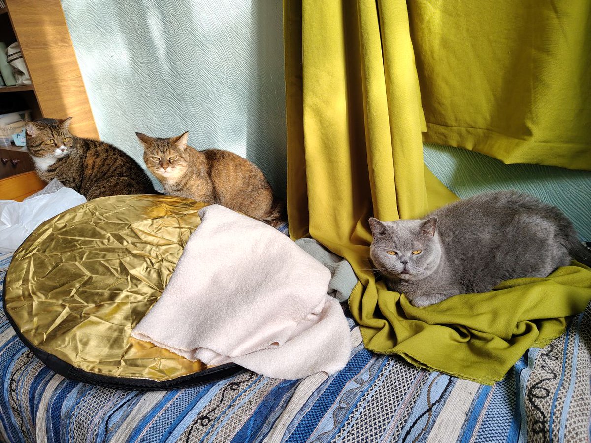 фотографировала новую керамику, чтобы пополнить каталог штук в наличии
тем временем, мои ассистенты: