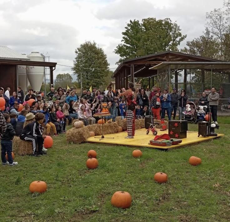 Coldiretti Lazio tweet media