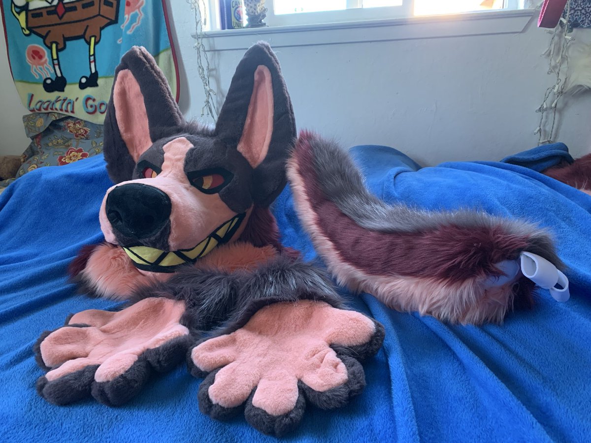 Ren🐾🍃 tweet media