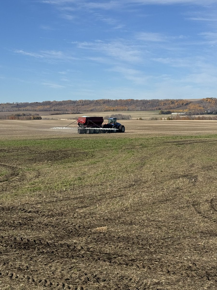 Mayor of Thunderhill 🇷🇺 tweet media