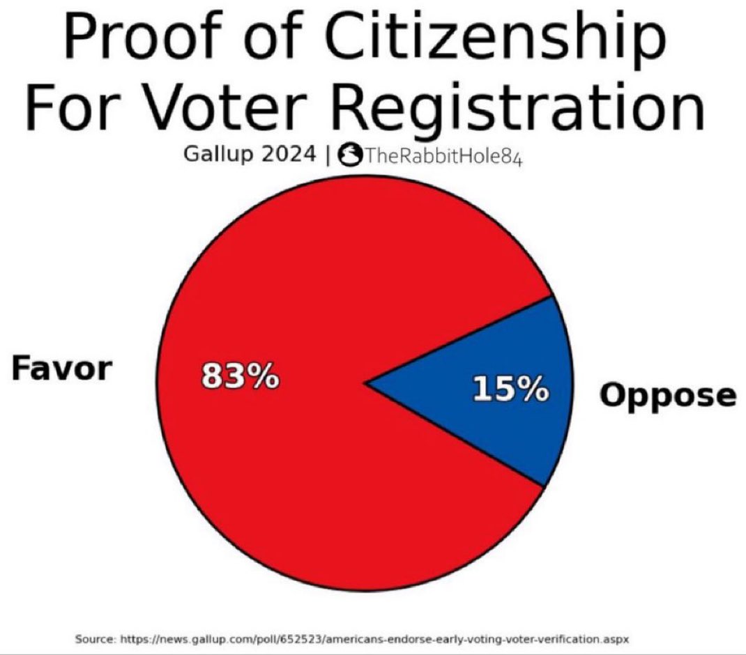TheRabbitHole's tweet photo. @elonmusk Most Americans want proof of citizenship https://t.co/lxhKjtRZRL