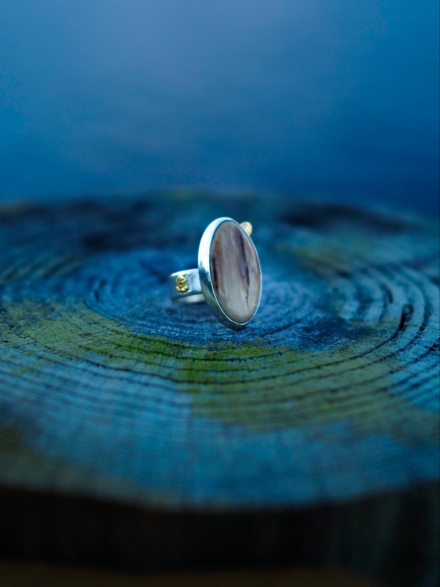 IlauraLongley's tweet image. Woolly mammoth tusk and Raw Alaskan gold nuggets for added shine. 🦣✨✨✨✨
#fossils #fashion #ring