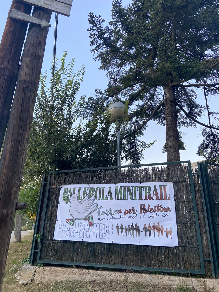 AFA Institut Escola Pallerola tweet media