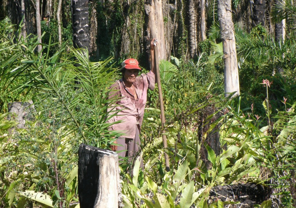 School of Human Evolution and Social Change tweet media