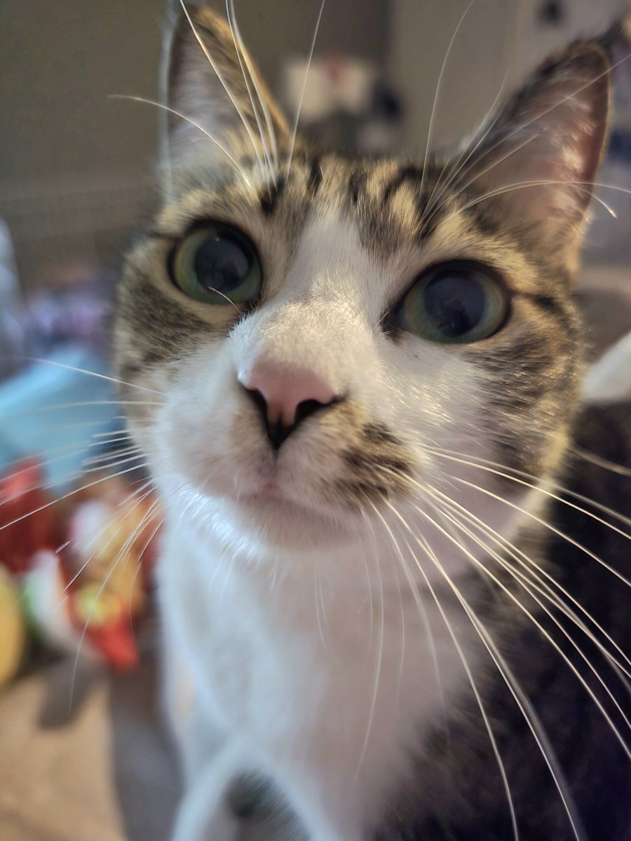 まりもちゃん！と🧌 (@marimo2021915) / Posts / X