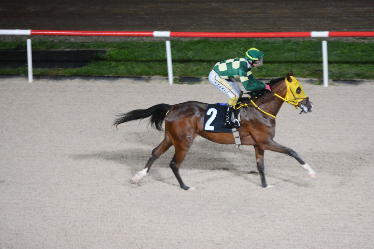 Flower Seed 🐎🧿