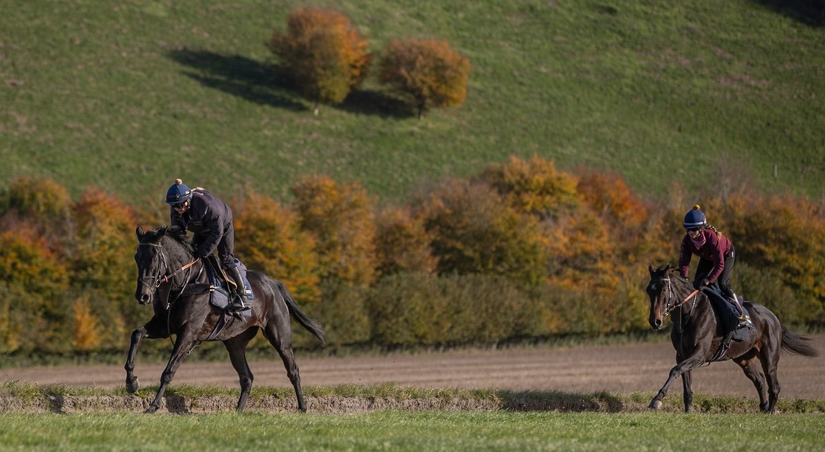 A nice visit to Barbury Castle yesterday. I'm a Lumberjack leads Callisto Queen in a gentle Monday canter.....