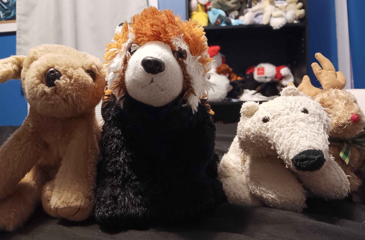 Team Rudy defeats Team Sheray!