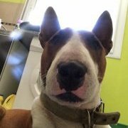 lena tweet media