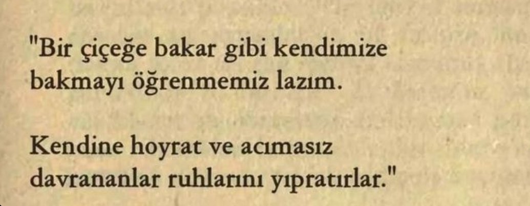 Hanedan Sahhaf (@hanedansahhaf) on Twitter photo 