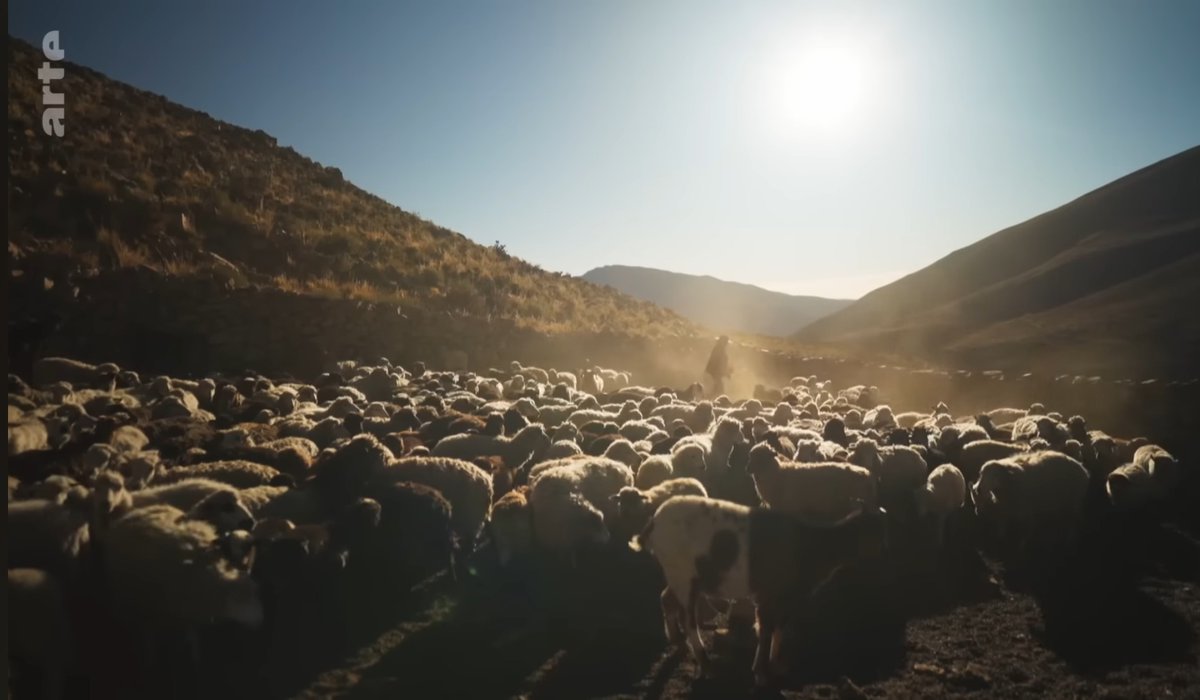 lachecki's tweet image. Łoooo ale filmik wjechał na Arte, z nawiązką spełnia obietnicę zawartą w tytule: lekarz z San Salvador de Jujuy jeździ w położone w odległości 12 godzin mułem zakamarki (otherworldly) Andów na wysokości 4 tys., żuje koke, dużo się uśmiecha i gra gitara 

youtu.be/YQvoMDaHMBQ?si…