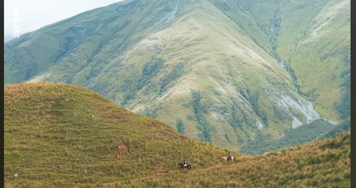 lachecki's tweet image. Łoooo ale filmik wjechał na Arte, z nawiązką spełnia obietnicę zawartą w tytule: lekarz z San Salvador de Jujuy jeździ w położone w odległości 12 godzin mułem zakamarki (otherworldly) Andów na wysokości 4 tys., żuje koke, dużo się uśmiecha i gra gitara 

youtu.be/YQvoMDaHMBQ?si…