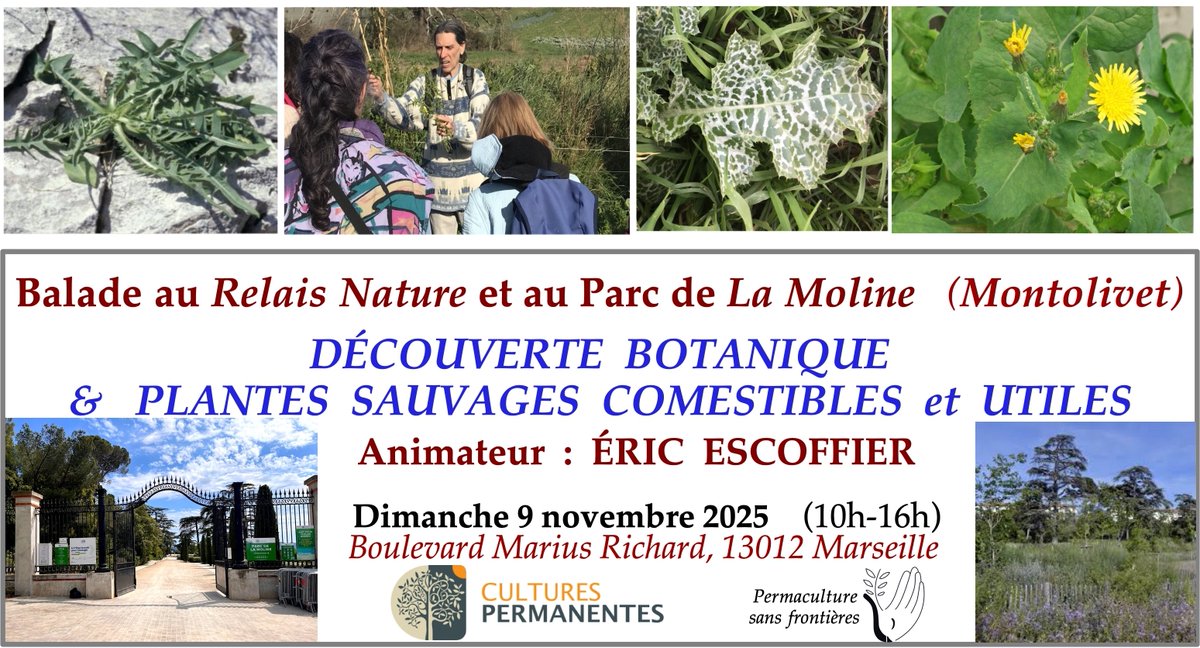_Permaculture's tweet photo. Balade proposée par Éric Escoffier le dimanche 9 novembre en journée au Relais Nature et au Parc de la Moline, à Marseille.
Sur inscription.
Prix libre (au chapeau, sur place).
https://t.co/FA2UieXr2G https://t.co/X0Gt0OpBcU