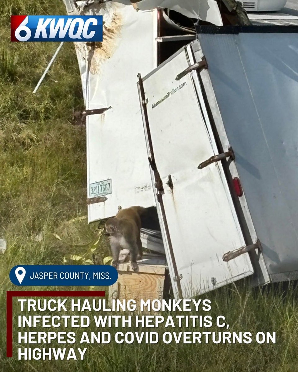 Havent we seen this one before? Just in time for Halloween we get a horrific story from KWQC TV6 News <a href="/kwqcnews/">KWQC TV6 News</a> 

kwqc.com/2025/10/28/tru…