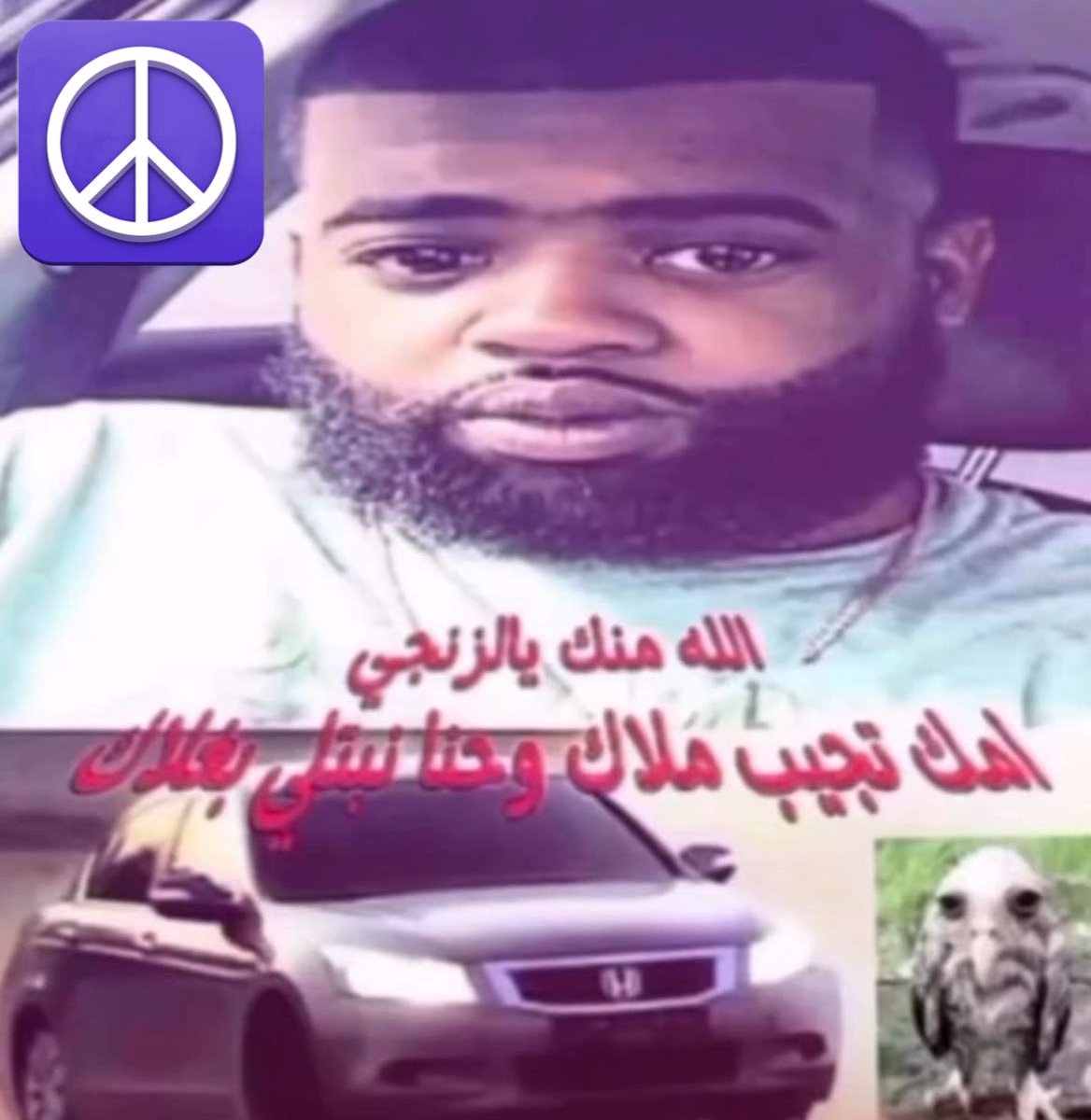 بو جونيور (@n___a110) on Twitter photo 