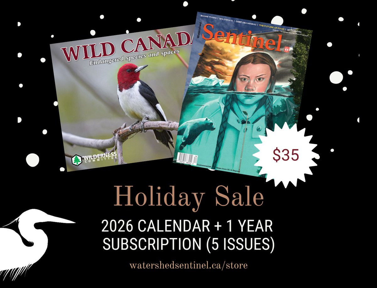 Don’t wait, it sells out fast! For $35, get a 2026 calendar, a year of Watershed Sentinel (5  issues), and a personalized gift card. Perfect for friends who love the wild, and for keeping #independent #environmental reporting strong. Order now: watershedsentinel.ca/store